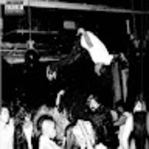 Meet your Posher, Lilah